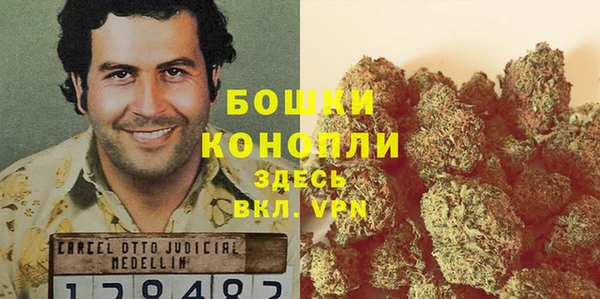 прущие грибы Верхнеуральск