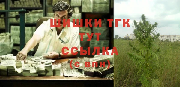 прущие грибы Верхнеуральск