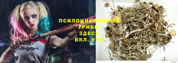 соль курить ск Верхний Тагил
