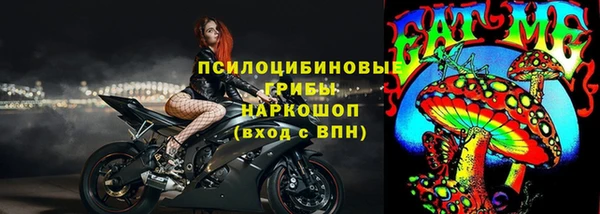 прущие грибы Верхнеуральск