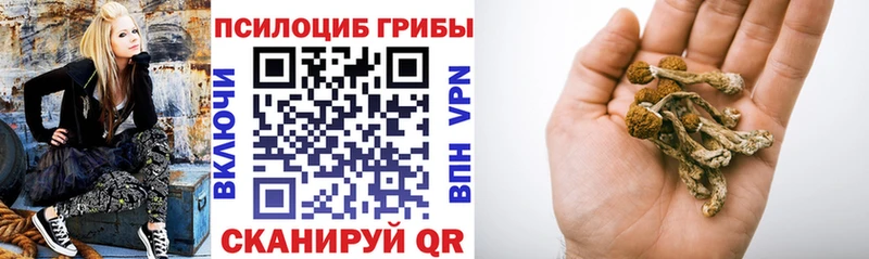 Псилоцибиновые грибы мицелий  Вязьма 